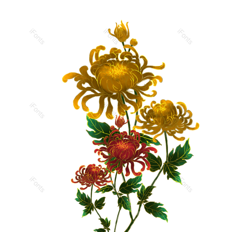 菊花图片,花朵元素,花朵素材PNG,工笔画免抠素材
